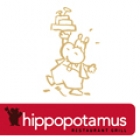 Hippopotamus Limoges